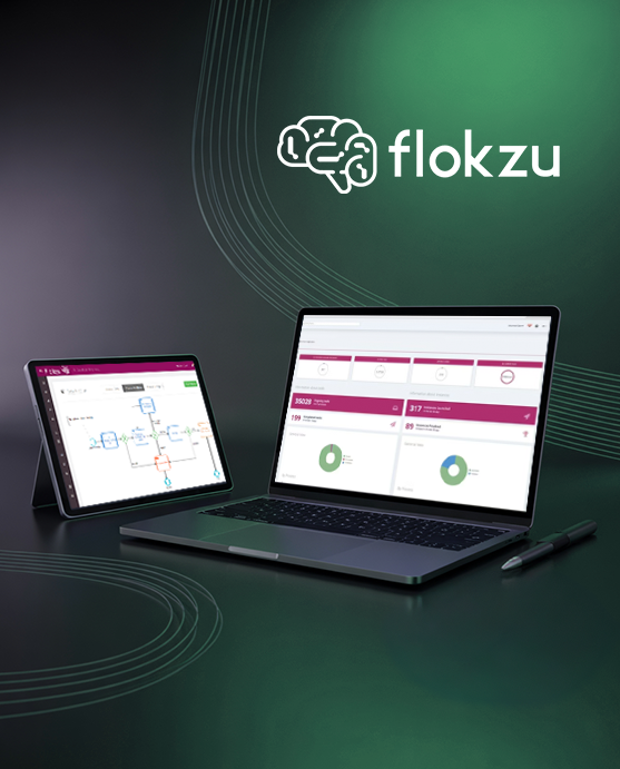 BPM Flokzu